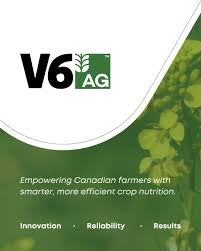 V6 AG